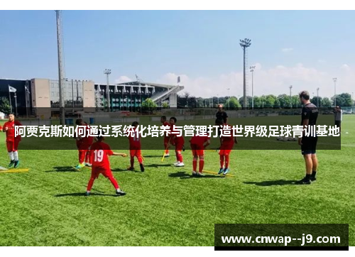 阿贾克斯如何通过系统化培养与管理打造世界级足球青训基地