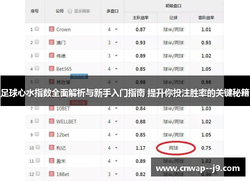 足球心水指数全面解析与新手入门指南 提升你投注胜率的关键秘籍