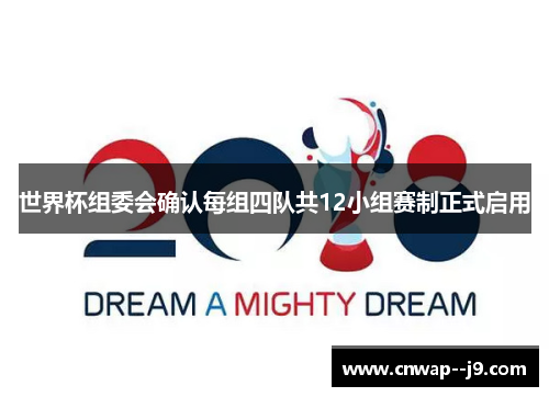 世界杯组委会确认每组四队共12小组赛制正式启用