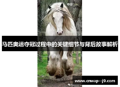 马匹奥运夺冠过程中的关键细节与背后故事解析