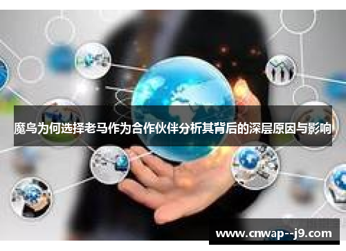 魔鸟为何选择老马作为合作伙伴分析其背后的深层原因与影响